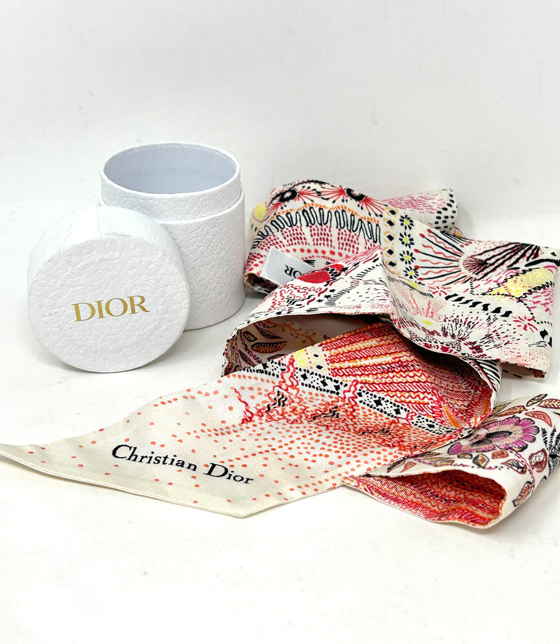 Dior Silk Scarf multicolor print